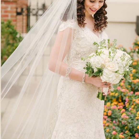 veil main image 6